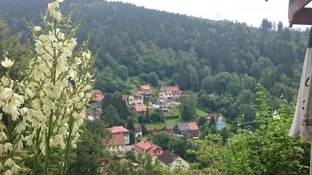 Pension Talblick Bad Grund Zewnętrze zdjęcie