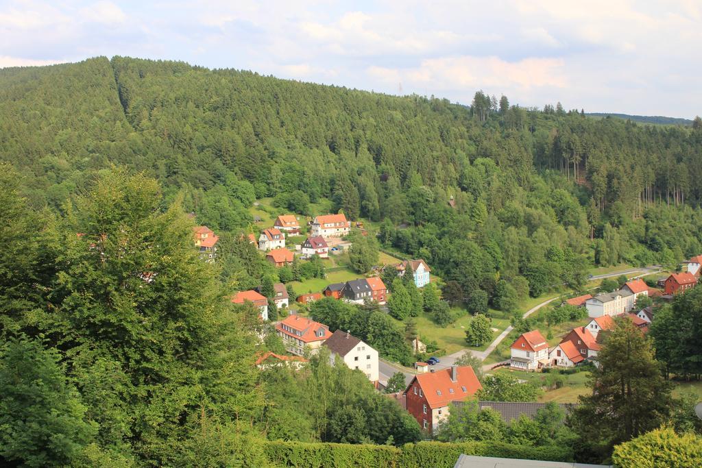 Pension Talblick Bad Grund Zewnętrze zdjęcie