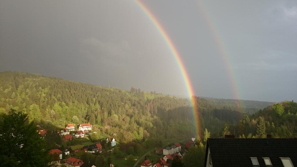 Pension Talblick Bad Grund Zewnętrze zdjęcie
