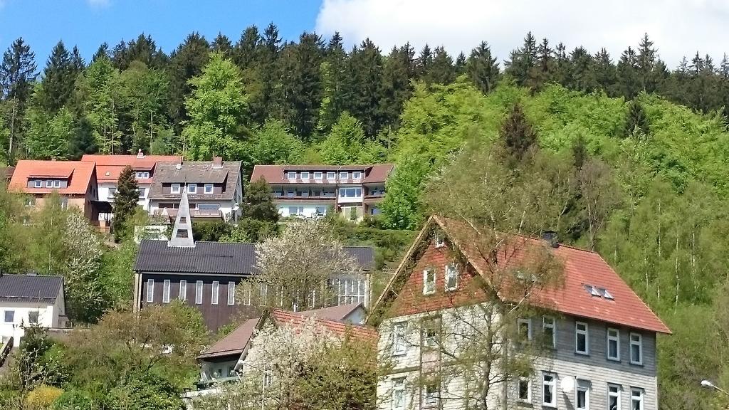 Pension Talblick Bad Grund Zewnętrze zdjęcie