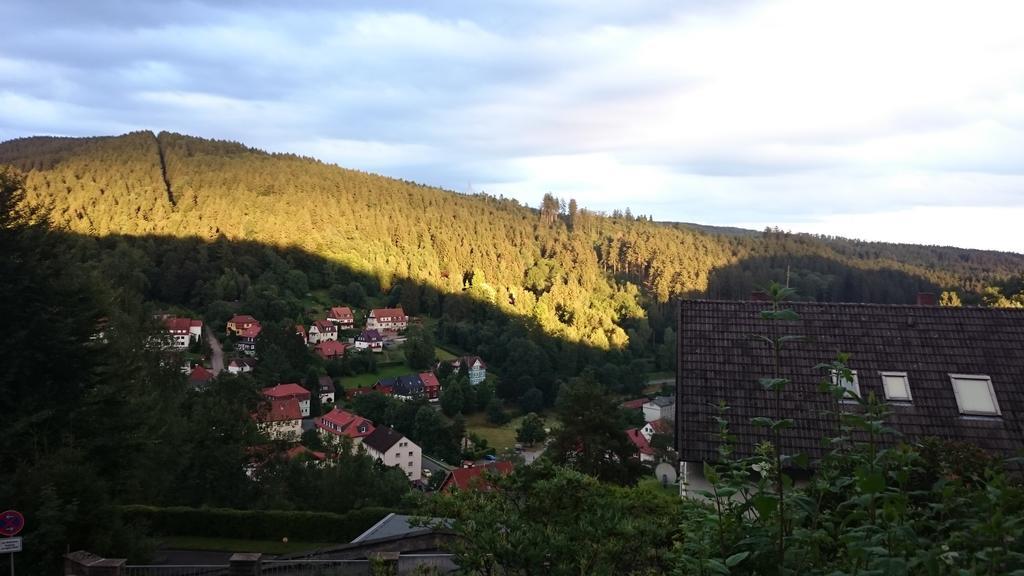 Pension Talblick Bad Grund Zewnętrze zdjęcie